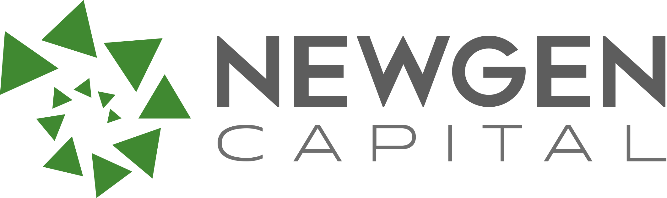 NewGen Capital: Investing in Technology that Makes us More Efficient